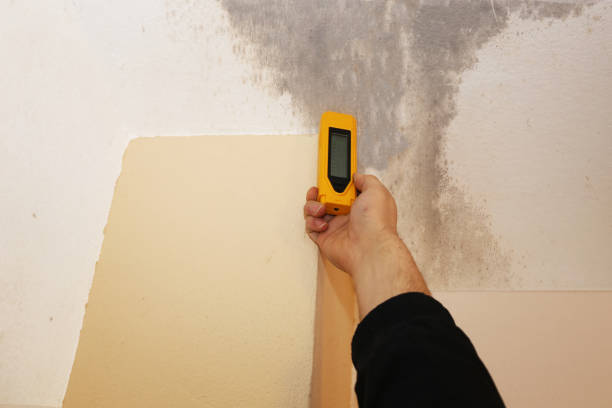 Best Crawl Space Mold Remediation  in North Beach Haven, NJ