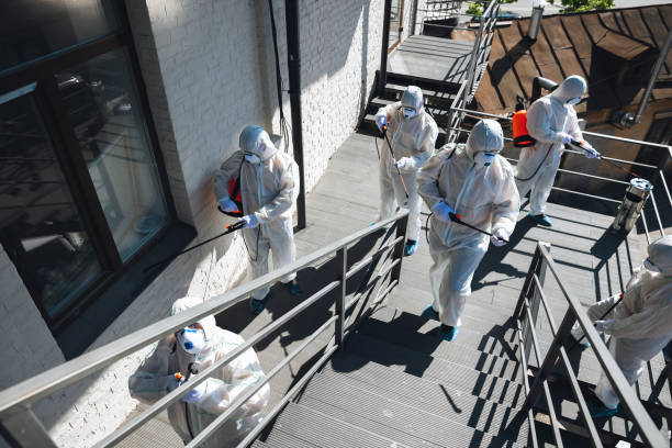 Best Real Estate Mold Inspection  in North Beach Haven, NJ
