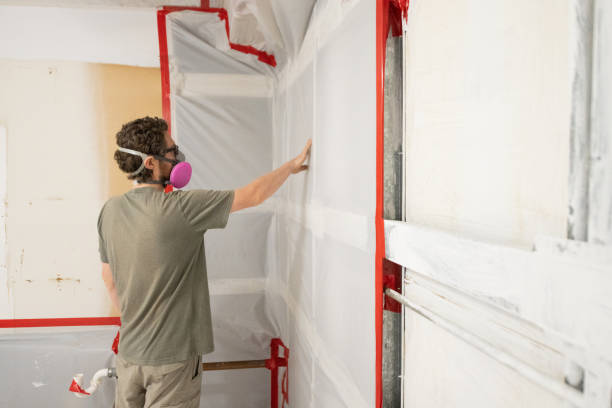 Professional Mold Removal in North Beach Haven, NJ