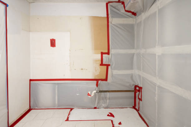Best Emergency Mold Remediation  in North Beach Haven, NJ