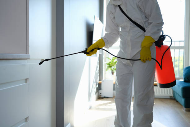 Best Biohazard Mold Removal  in North Beach Haven, NJ